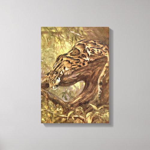 Clouded Leopard by CE Swan Vintage Wild Animals Canvas Print