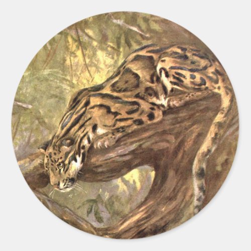 Clouded Leopard by CE Swan Vintage Wild Animals Classic Round Sticker