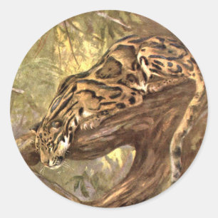 Clouded Leopard by CE Swan, Vintage Wild Animals Classic Round Sticker