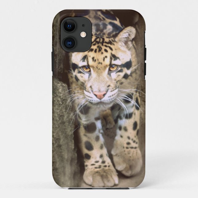 Clouded Leopard Case-Mate iPhone Case (Back)