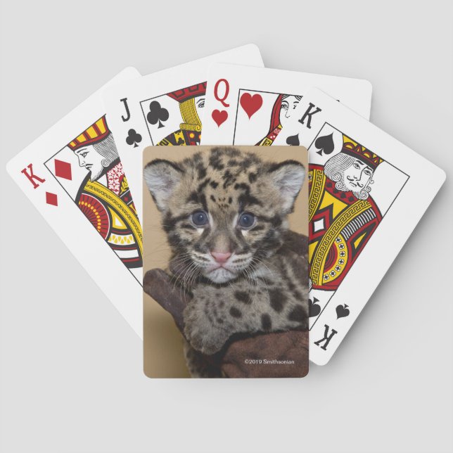 Clouded Leopard Cub Poker Cards (Back)