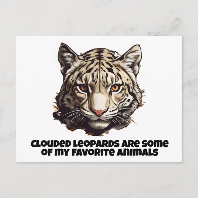 Clouded leopard head leopard favorite animal postcard (Front)