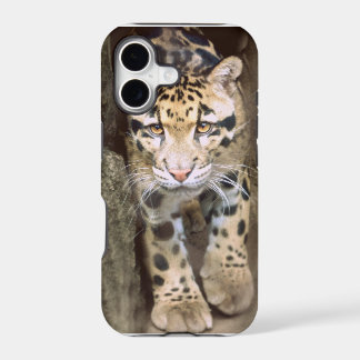 Clouded Leopard iPhone 17 Case
