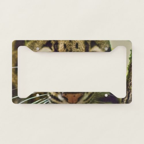 Clouded Leopard License Plate Frame