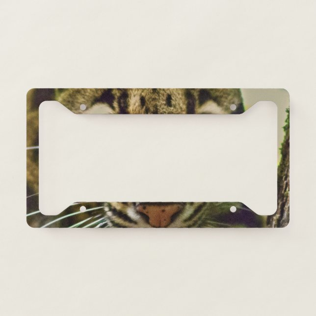Clouded Leopard License Plate Frame (Front)