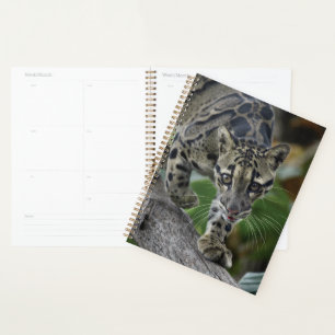 Clouded Leopard on the Move Planner