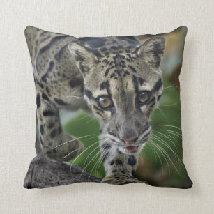 Clouded Leopard on the Move Throw Pillow