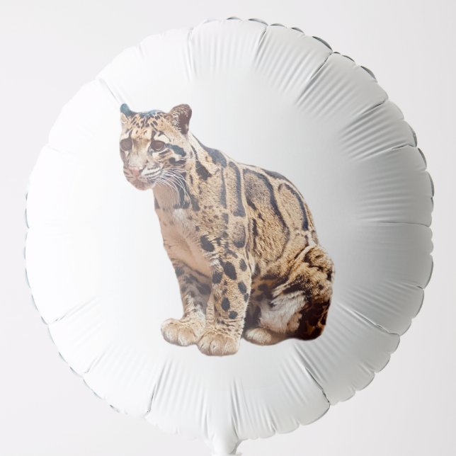 clouded leopard photograph jungle big cat animal   balloon (Front)