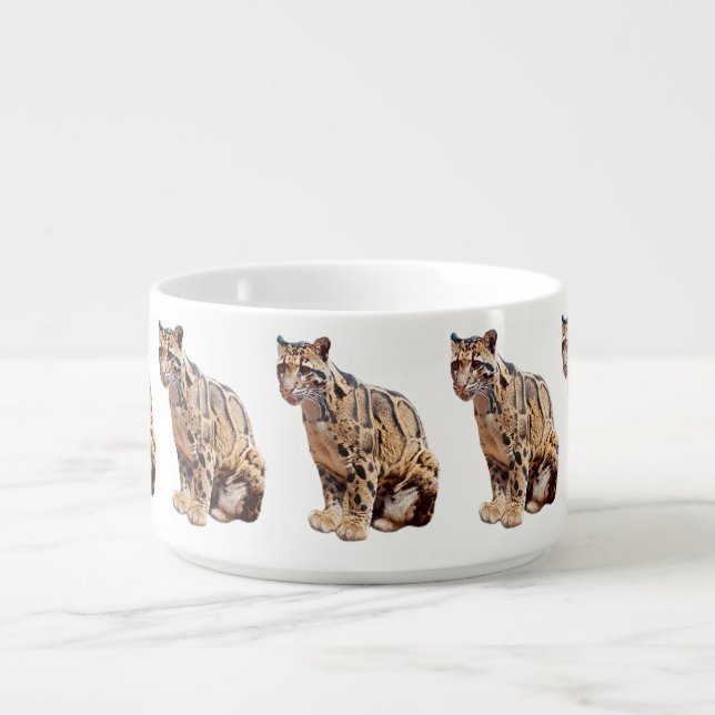 clouded leopard photograph jungle big cat animal   bowl (Center)