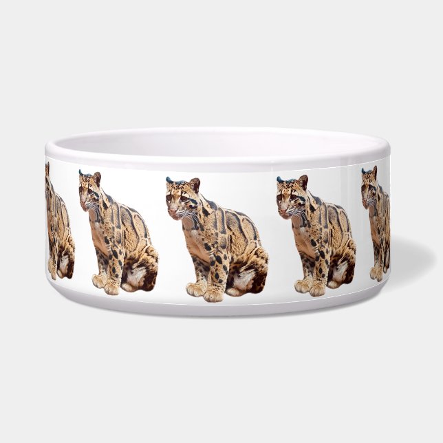 clouded leopard photograph jungle big cat animal   bowl (Front)