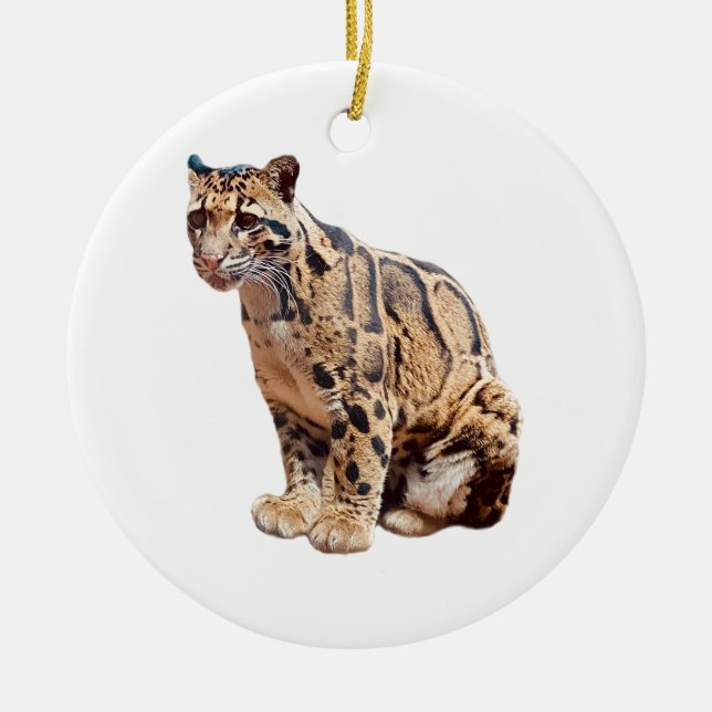 clouded leopard photograph jungle big cat animal   ceramic ornament (Front)