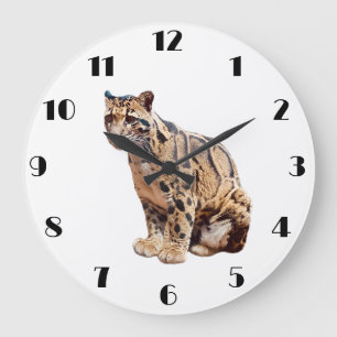 clouded leopard photograph jungle big cat animal large clock