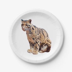 clouded leopard photograph jungle big cat animal   paper plates