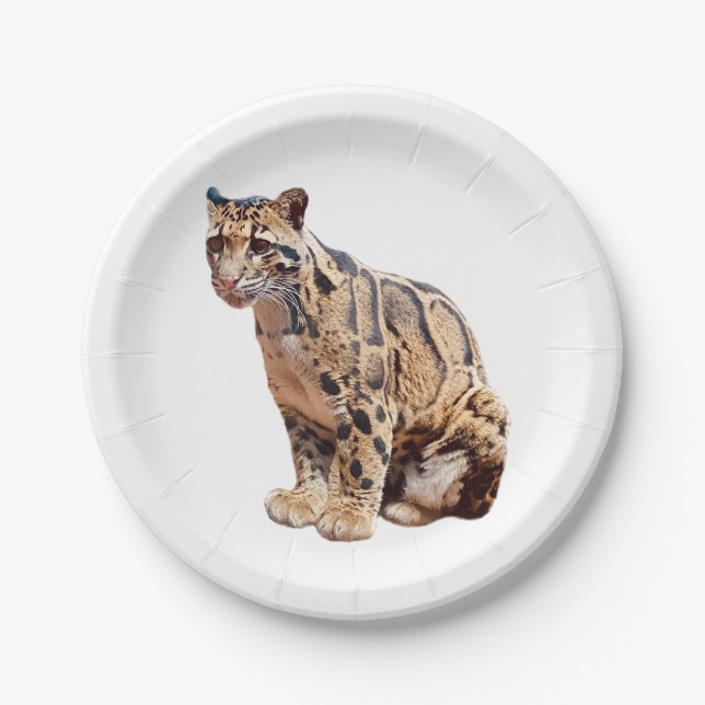 clouded leopard photograph jungle big cat animal   paper plates (Front)