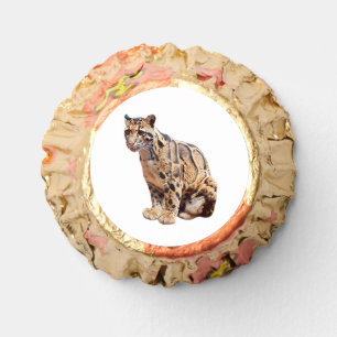 clouded leopard photograph jungle big cat animal reese's peanut butter cups