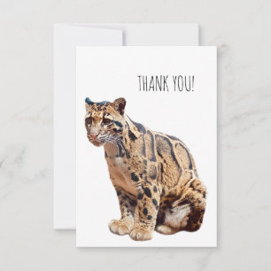clouded leopard photograph jungle big cat animal   thank you card