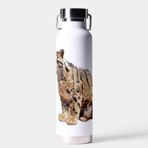 clouded leopard photograph jungle big cat animal water bottle