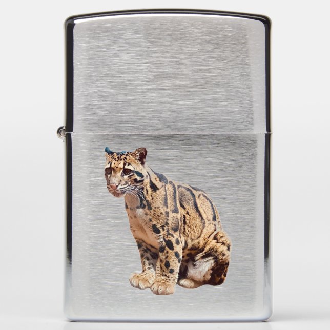 clouded leopard photograph jungle big cat animal   zippo lighter (Front)