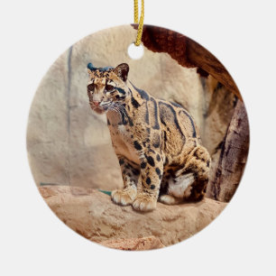 clouded leopard picture nature  ceramic ornament