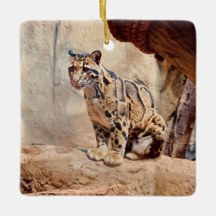 clouded leopard picture nature ceramic ornament