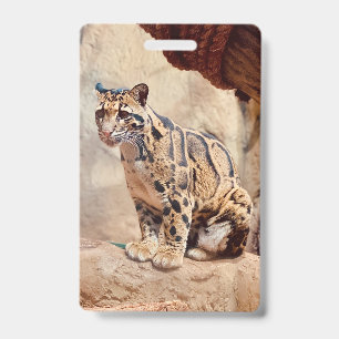 clouded leopard picture nature wildlife exotic badge