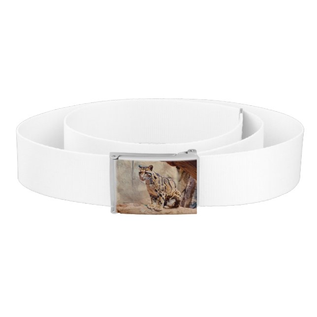 clouded leopard picture nature wildlife exotic belt (Coil)