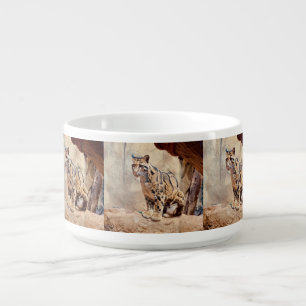clouded leopard picture nature wildlife exotic bowl
