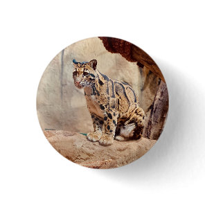 clouded leopard picture nature wildlife exotic button