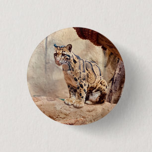clouded leopard picture nature wildlife exotic button