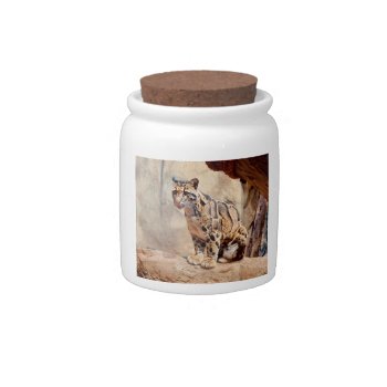 Clouded Leopard Picture Nature Wildlife Exotic Candy Jar by CharmedPix at Zazzle