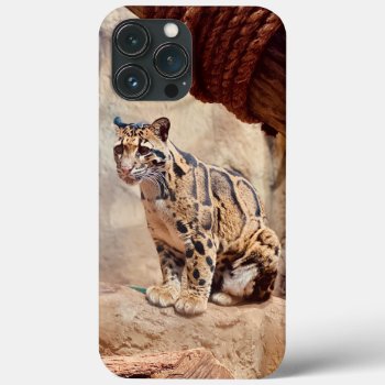 Clouded Leopard Picture Nature Wildlife Exotic Iphone 13 Pro Max Case by CharmedPix at Zazzle
