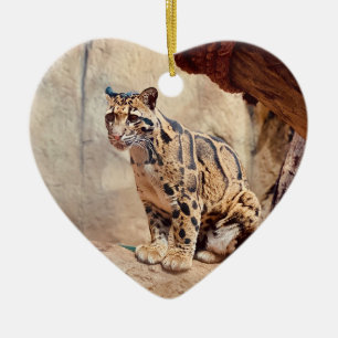 clouded leopard picture nature wildlife exotic ceramic ornament