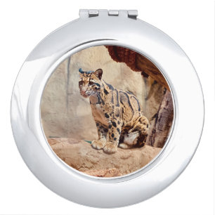 clouded leopard picture nature wildlife exotic compact mirror