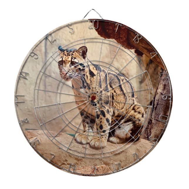 clouded leopard picture nature wildlife exotic dart board (Front)