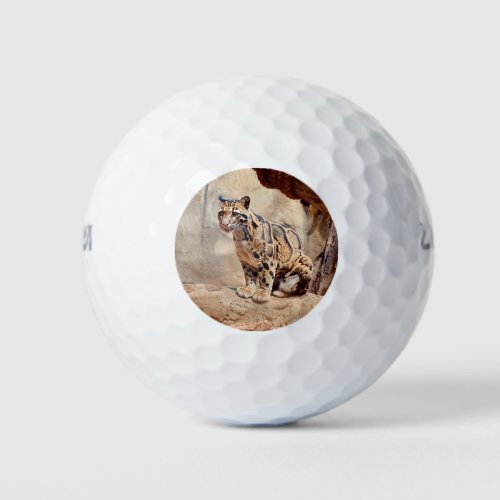 clouded leopard picture nature wildlife exotic golf balls