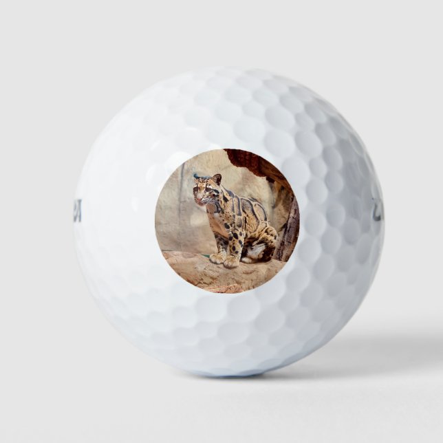 clouded leopard picture nature wildlife exotic golf balls (Front)