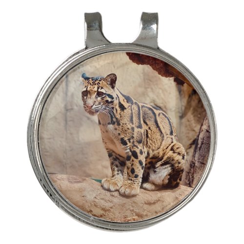 clouded leopard picture nature wildlife exotic golf hat clip