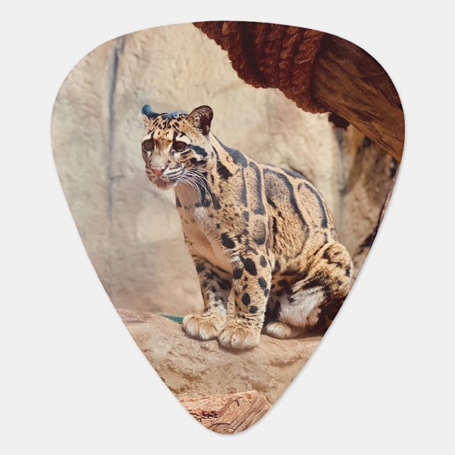 clouded leopard picture nature wildlife exotic guitar pick (Front)