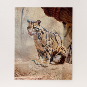clouded leopard picture nature wildlife exotic jigsaw puzzle