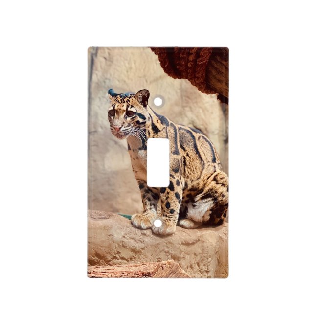 clouded leopard picture nature wildlife exotic light switch cover (Front)