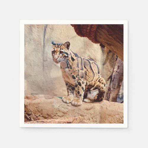 clouded leopard picture nature wildlife exotic napkins