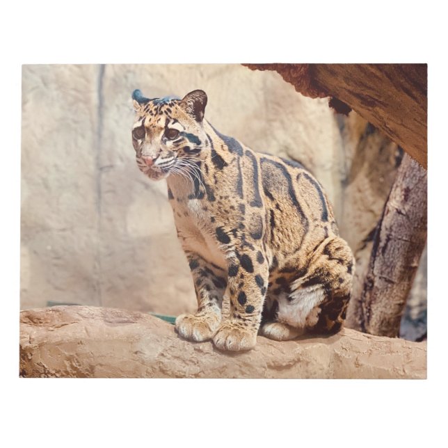 clouded leopard picture nature wildlife exotic notepad (Front)