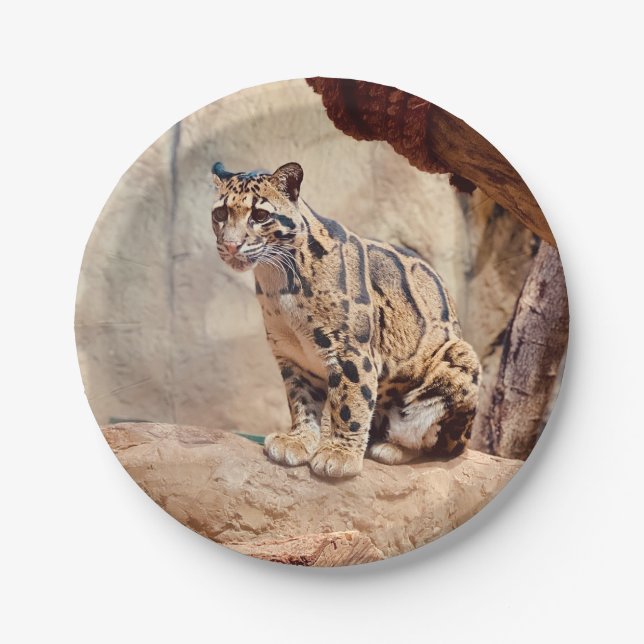 clouded leopard picture nature wildlife exotic paper plates (Front)