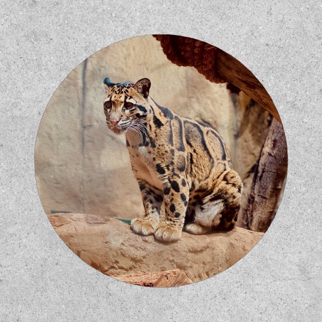 clouded leopard picture nature wildlife exotic patch (Front)