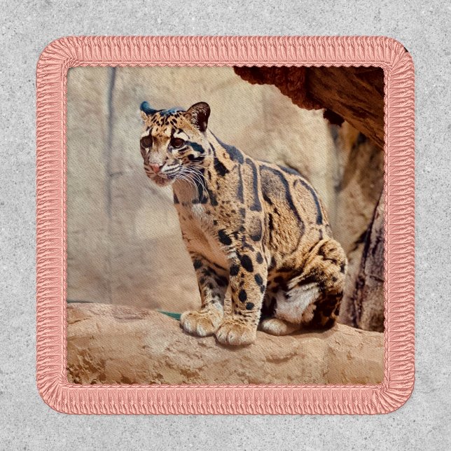 clouded leopard picture nature wildlife exotic patch (Front)