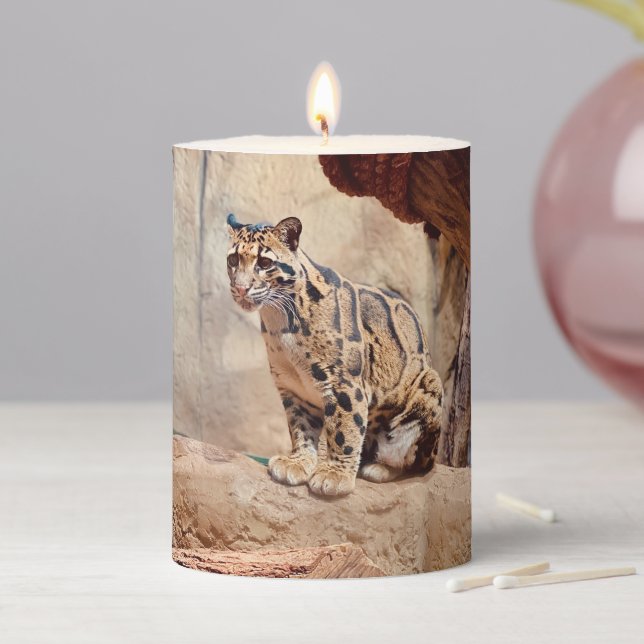clouded leopard picture nature wildlife exotic pillar candle (In Situ)