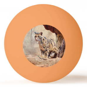 clouded leopard picture nature wildlife exotic ping pong ball