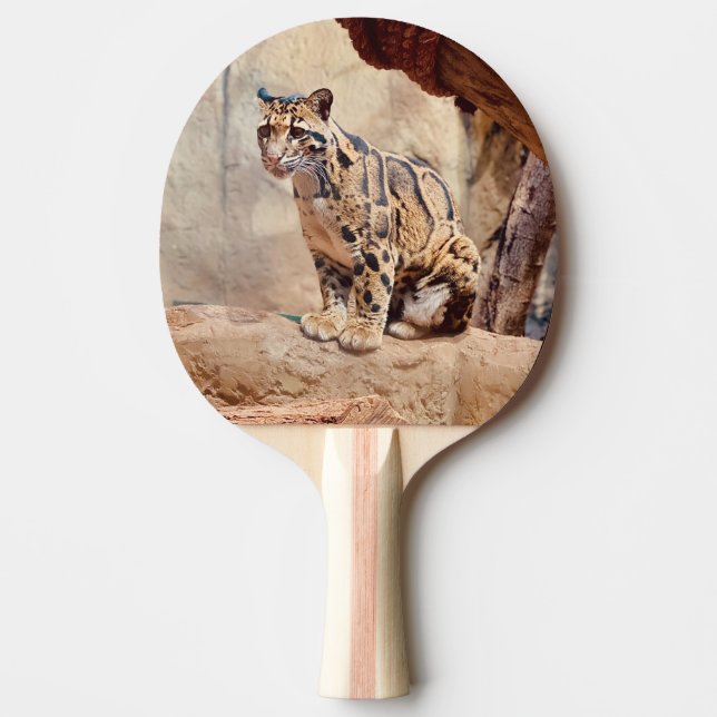 clouded leopard picture nature wildlife exotic ping pong paddle (Front)