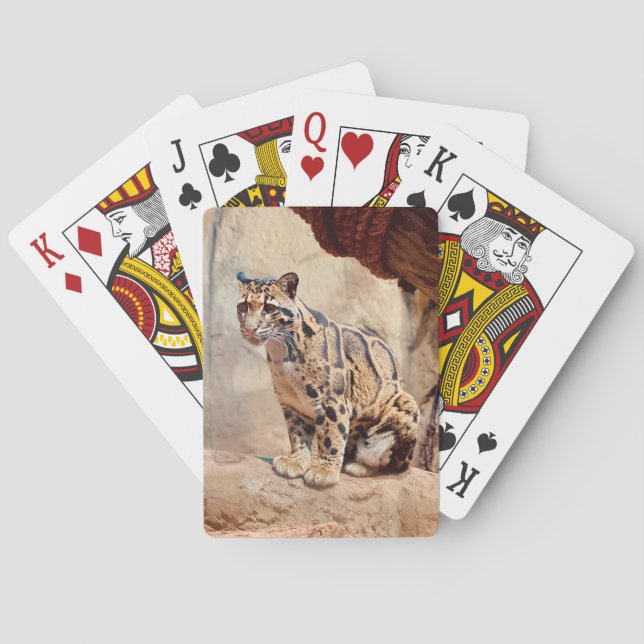 clouded leopard picture nature wildlife exotic poker cards (Back)