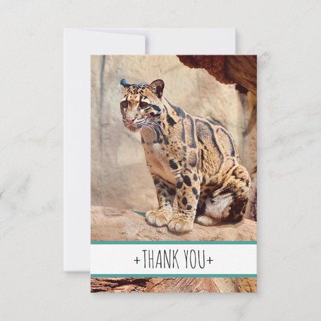 clouded leopard picture nature wildlife exotic thank you card (Front)